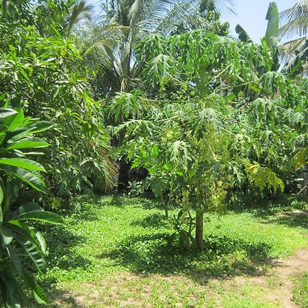Local Beach Homestay ฮอยอัน ภายนอก รูปภาพ